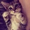 meow595